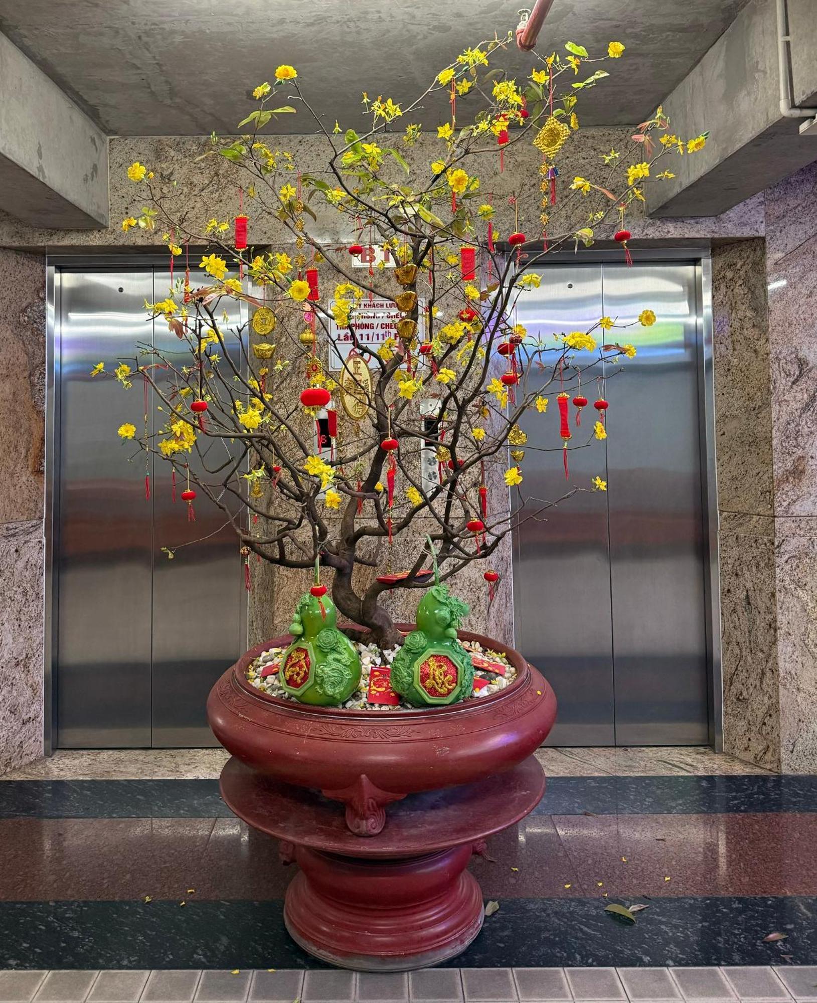 Thien Tai Hotel Хошимин Экстерьер фото
